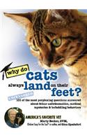 Why Do Cats Always Land on Their Feet?