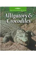 Alligators & Crocodiles