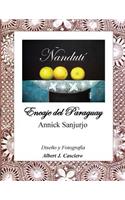 Ñandutí, Encaje del Paraguay