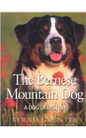 The Bernese Mountain Dog