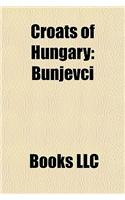 Croats of Hungary: Bunjevci(English)