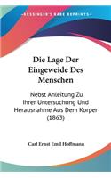 Die Lage Der Eingeweide Des Menschen