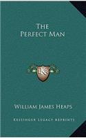 The Perfect Man
