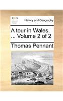 A Tour in Wales. ... Volume 2 of 2