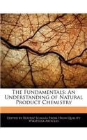 The Fundamentals