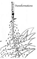 Transformations