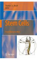 Stem Cells