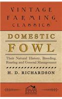 Domestic Fowl - Their Natural History, Breeding, Rearing And General Management: (English)