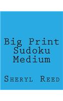 Big Print Sudoku Medium: Large Grid Sudoku Puzzles