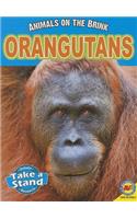 Orangutans: (Animals on the Brink)