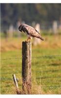 Buzzard on a Fence Post Bird Journal: 150 page lined notebook/diary