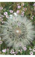 Awesome Fluffy White Dandelion Close Up in a Field of Flowers Journal: 150 Page Lined Notebook/Diary