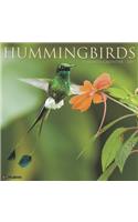 Hummingbirds 2020 Wall Calendar