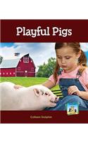 Playful Pigs
