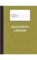 Accounts Ledger