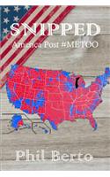 Snipped: America Post #Metoo(2 Snippets)