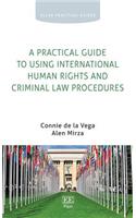 A Practical Guide to Using International Human Rights and Criminal Law Procedures