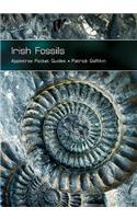 Irish Fossils