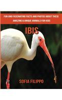 Ibis: Fun and Fascinating Facts and Photos about These Amazing & Unique Animals for Kids