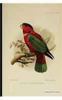 Vintage Bird Print Journal