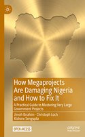 How Megaprojects Are Damaging Nigeria and How to Fix It