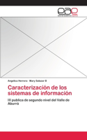 Caracterización de los sistemas de información