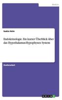 Endokrinologie. Ein kurzer Überblick über das Hypothalamus-Hypophysen System
