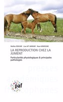 Reproduction Chez La Jument
