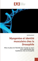 Myogenèse et identité musculaire chez la Drosophile