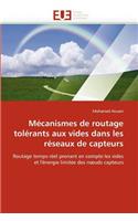 M?canismes de Routage Tol?rants Aux Vides Dans Les R?seaux de Capteurs