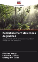 Rétablissement des zones dégradées