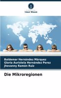 Mikroregionen