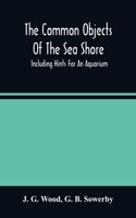 The Common Objects Of The Sea Shore