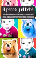 perro y el bebé: Los mejores consejos para la convivencia entre perros y bebés