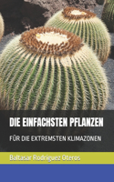 Einfachsten Pflanzen: Für Die Extremsten Klimazonen