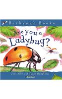 Are You a Ladybug?