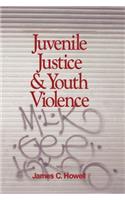 Juvenile Justice and Youth Violence