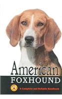 American Foxhound