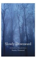 Slowly Downward: A Collection of Miserable Stories