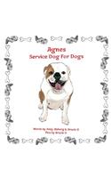 Agnes Service Dog For Dogs