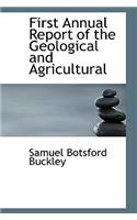First Annual Report of the Geological and Agricultural