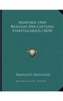 Anatomie Und Biologie Der Gattung Streptocarpus (1878)