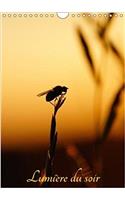 Lumiere Du Soir 2018: Images De Fins De Journee(Calvendo Nature)