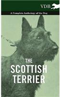 Scottish Terrier - A Complete Anthology of the Dog