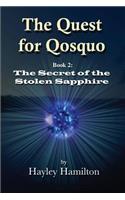 The Quest for Qosquo Book 2: The Secret of the Stolen Sapphire(English)