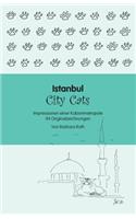 Istanbul City Cats