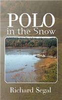 Polo in the Snow