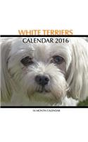 White Terriers Calendar 2016: 16 Month Calendar