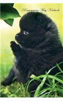 Pomeranian May Notebook Pomeranian Record, Log, Diary, Special Memories, To Do List, Academic Notepad, Scrapbook & More