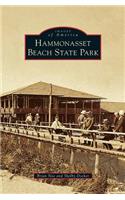 Hammonasset Beach State Park